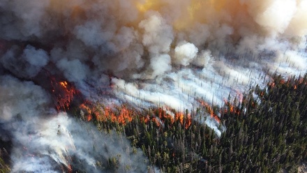 Чрезвычайная пожарная опасность лесов продержится в Нижегородской области до конца недели