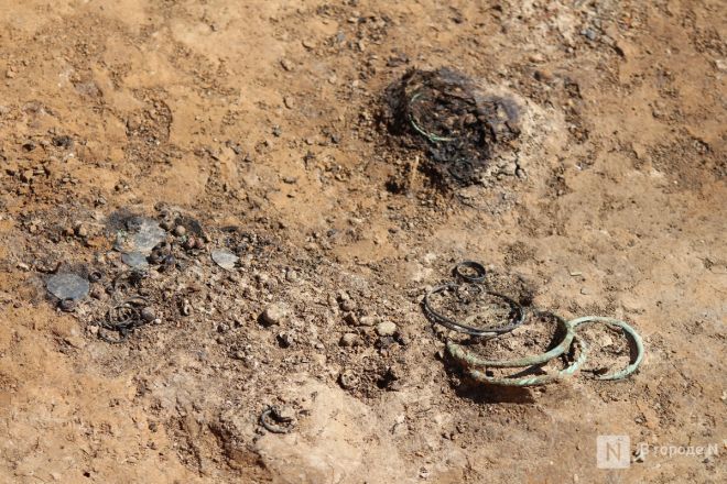 Могилы коней и старинные монеты: фоторепортаж с археологических раскопок в Нижегородской области - фото 132