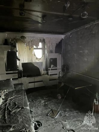 Страшный пожар произошел в Нижегородской области: двое погибли - фото 2