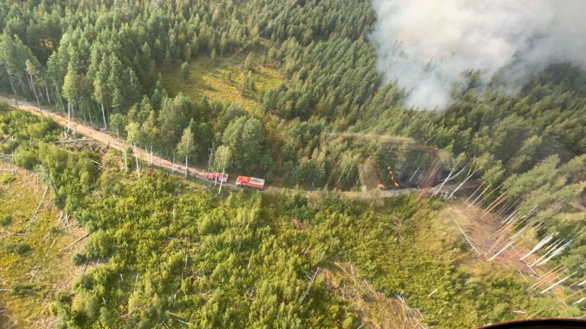 Пожар в Нижегородской области охватил около 5 тысяч га леса
