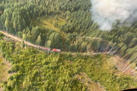Пожар в Нижегородской области охватил около 5 тысяч га леса