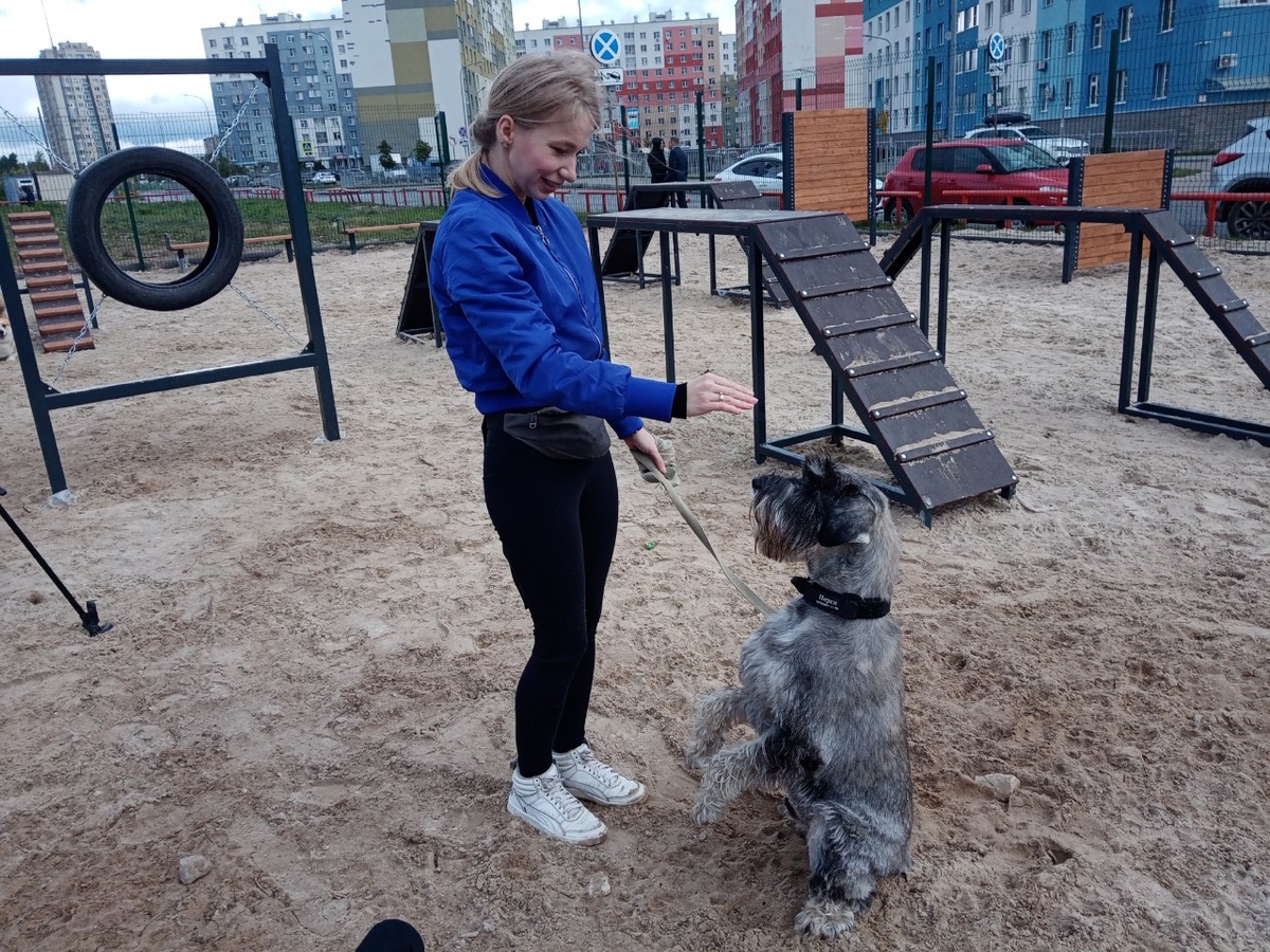 Две площадки для выгула собак появятся в Нижнем Новгороде в 2022 году - фото 1