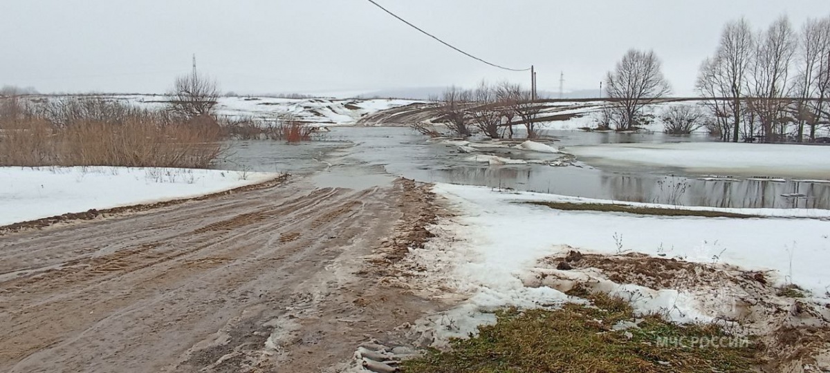 Мост через Пьяну затопило у села Никольское в Гагинском райне - фото 1