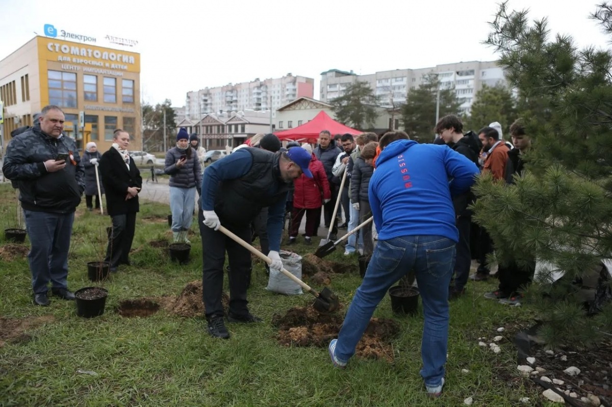 90 саженцев спиреи высадили рядом с парком в Дзержинске - фото 1