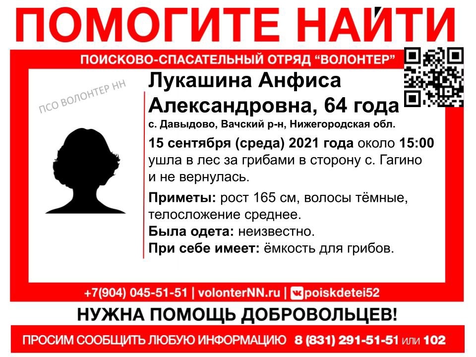 64-летняя пенсионерка пропала в лесу в Вачском районе - фото 1