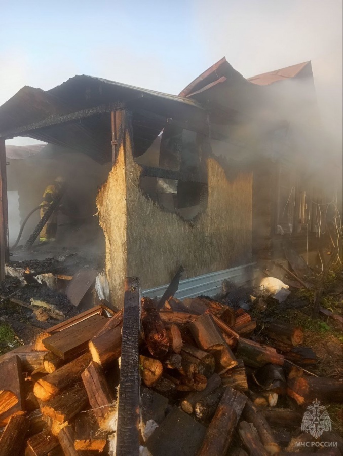 Женщина погибла при пожаре в дачном доме в Нижегородской области - фото 1