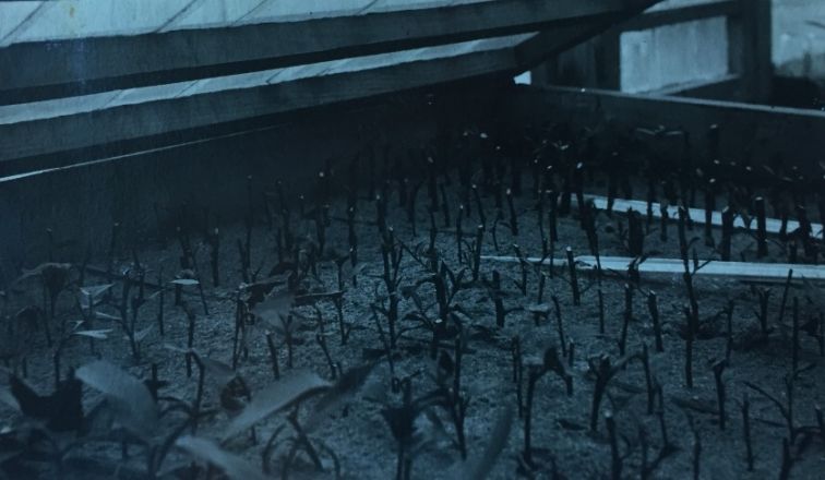 Павлово в Нижегородской области: история и архивные фото родины &laquo;ПАЗиков&raquo; - фото 12