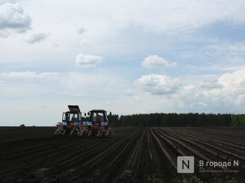 Коронавирус не помешал начать полевые работы в 30 районах Нижегородской области