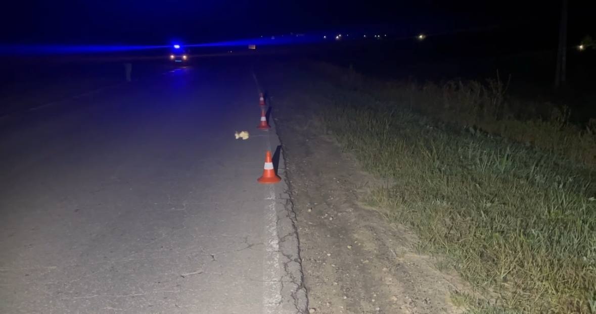 Пьяный мотоциклист устроил ДТП с пострадавшими в Нижегородской области - фото 1