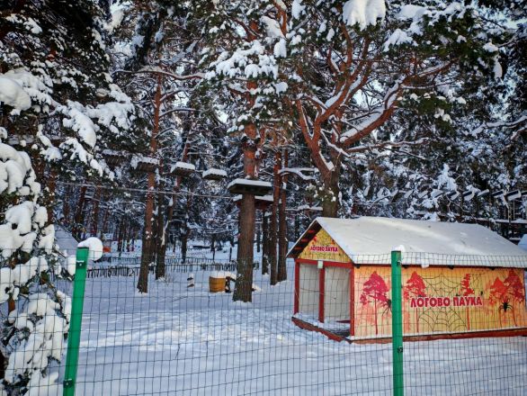Аномальные морозы в Нижнем Новгороде: фоторепортаж из заснеженных парков - фото 30
