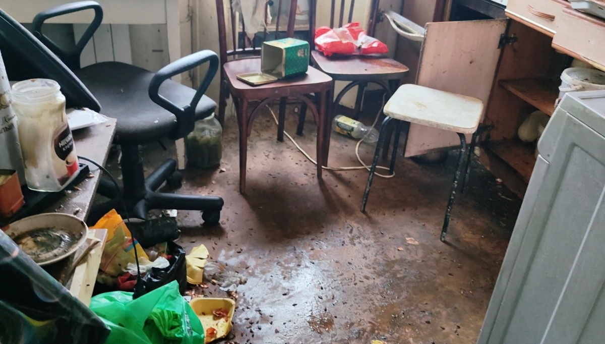 Нижегородец развел полчища тараканов в многоквартирном доме на Автозаводе - фото 1