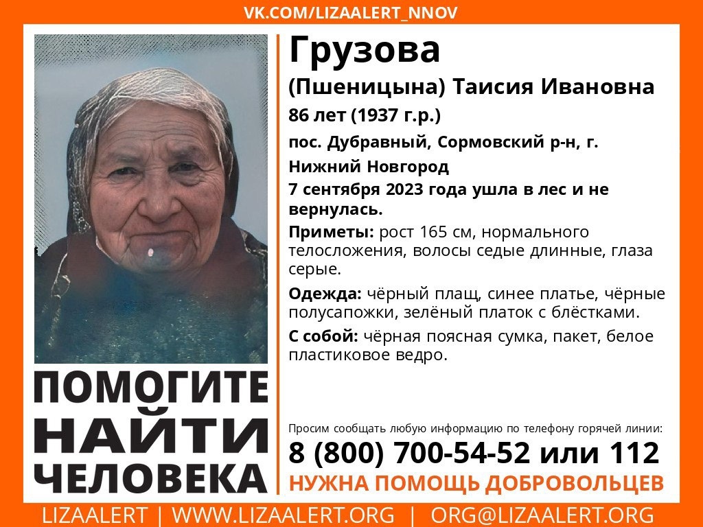 Пенсионерка пропала в лесу в Сормовском районе - фото 1