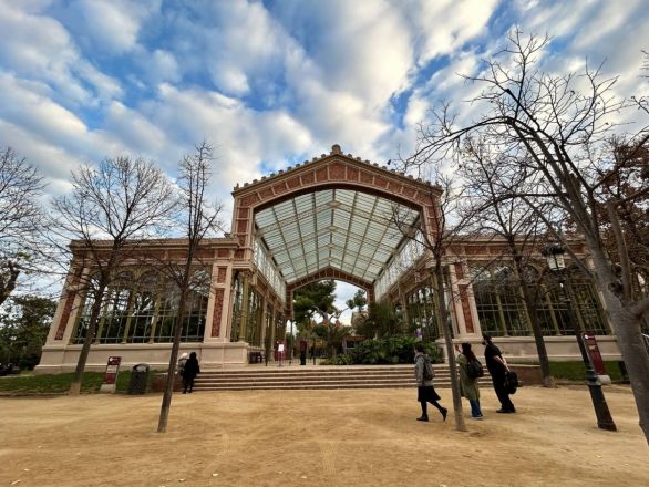 Морские гады, руины и потрясающий климат: вся правда о путешествии Барселона &mdash; Рим - фото 41