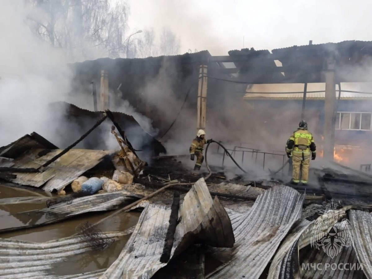 Склад сгорел на улице Строителей в Балахне - фото 1