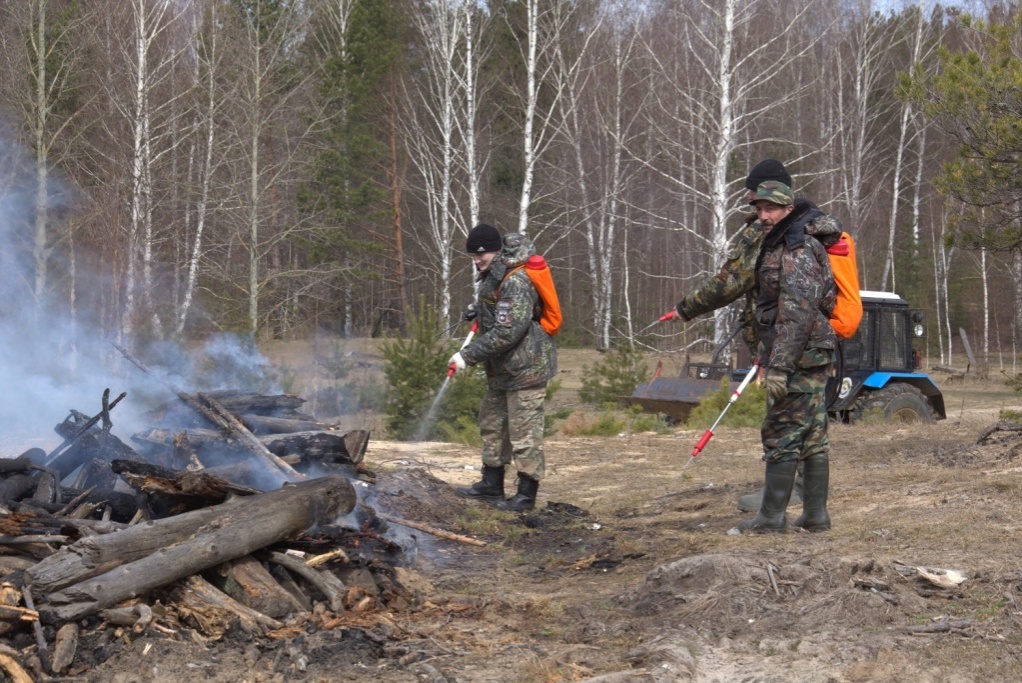 Противопожарный режим введен в Нижегородской области с 20 апреля - фото 1