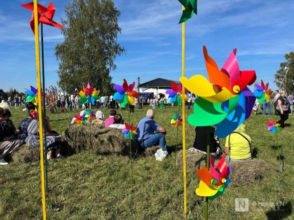 Фестиваль фольклора проходит в Нижегородской области - фото 2