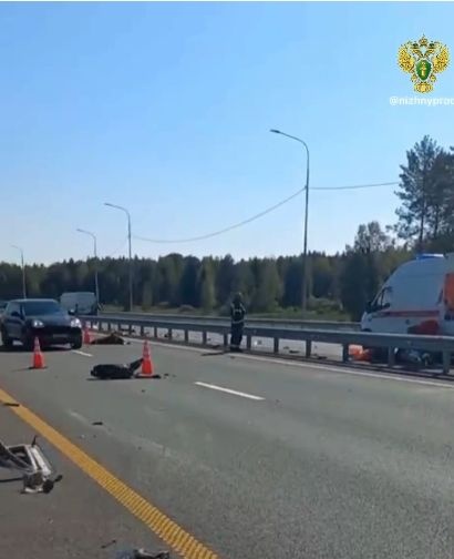 Восемь человек погибли в жуткой аварии в Навашинском  округе - фото 1