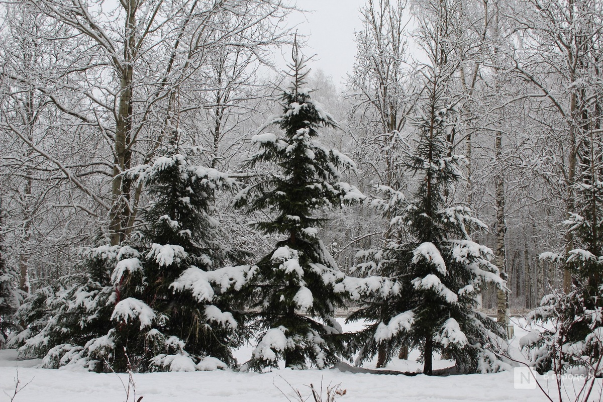 Резкое похолодание и снег ждут нижегородцев в выходные - фото 1