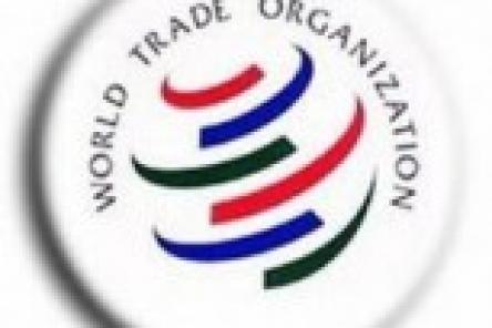 Не стоит ожидать серьезных изменений от вступления в ВТО за год, - Павел Солодкий
