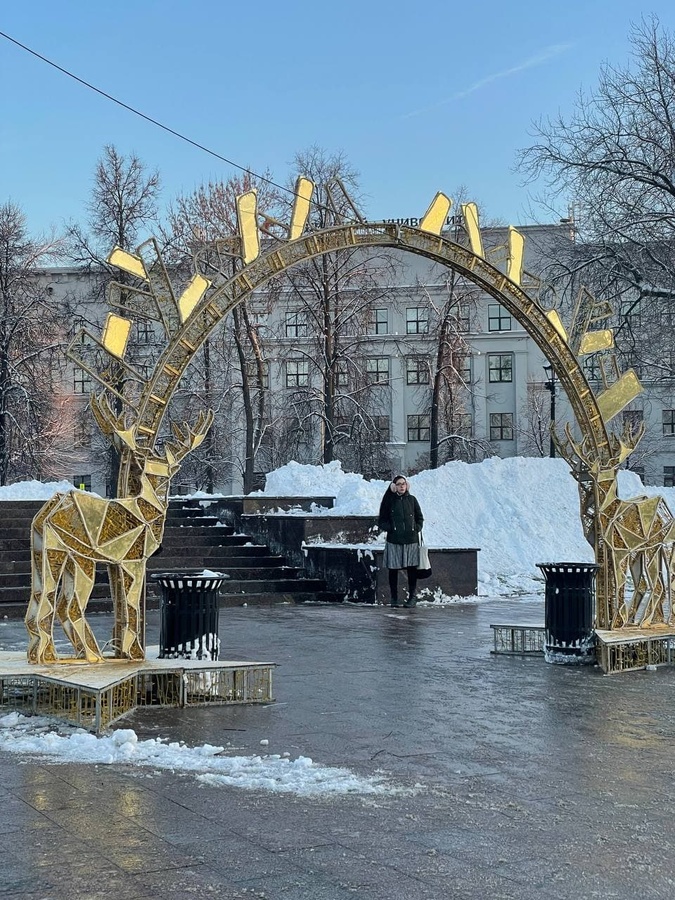 Блогер Варламов поделился снимками новогодних украшений с мусорными урнами в Нижнем Новгороде