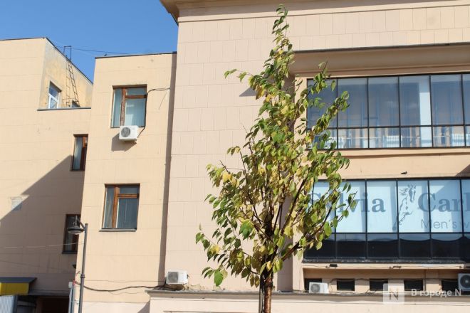 Благоустройство &ndash; 2025: как меняется площадь у Автозаводского универмага в Нижнем Новгороде - фото 29