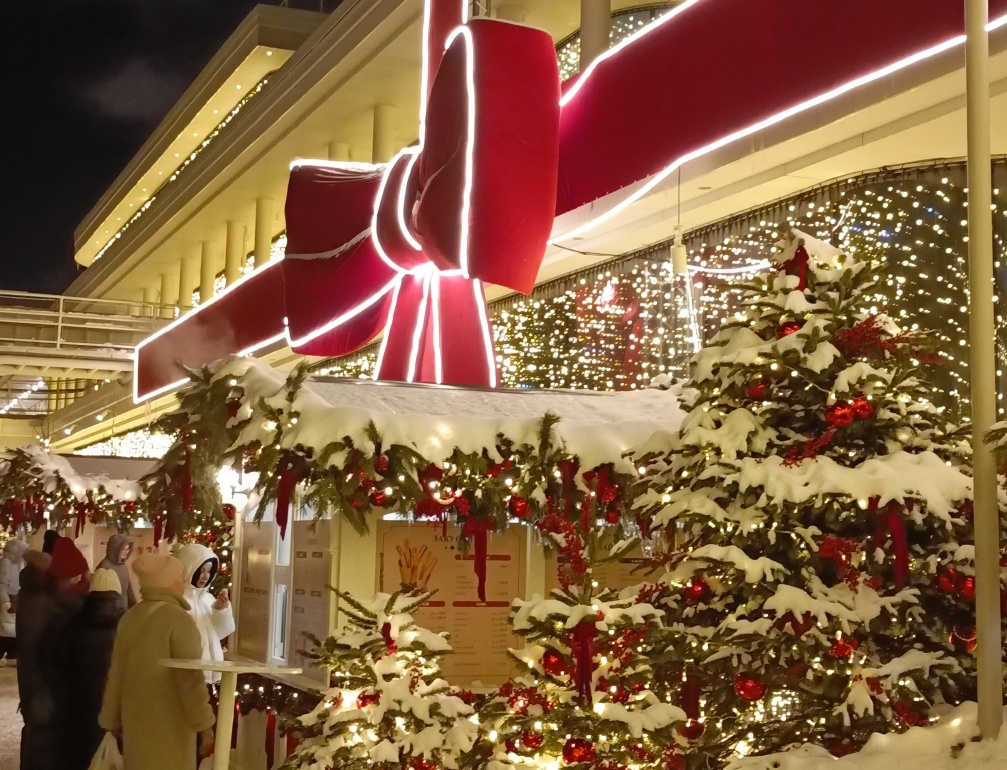 ВТБ и OneTwoTrip узнали, как новогодничали российские туристы - фото 1