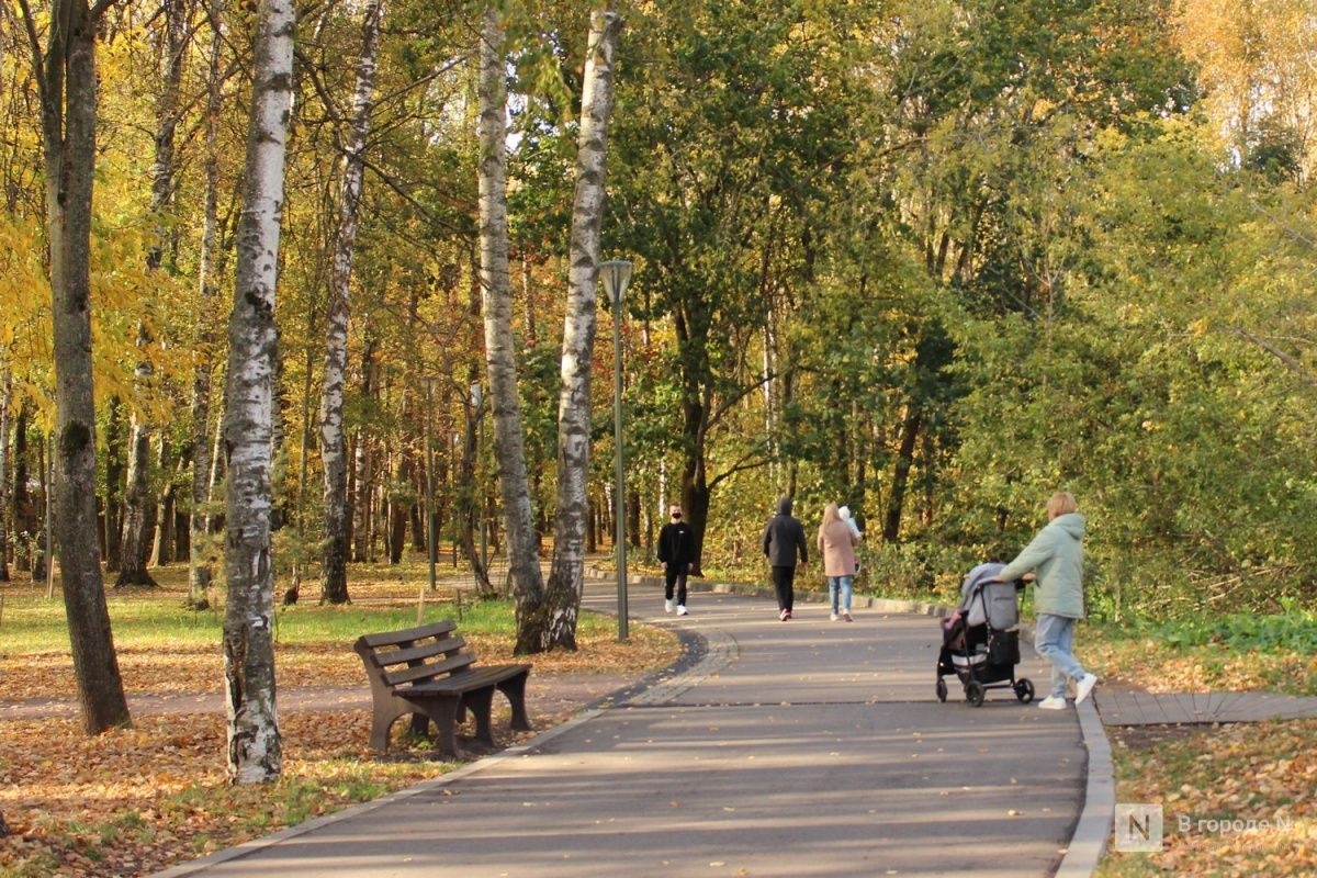 Синоптик рассказала, ждать ли нижегородцам бабьего лета - фото 1