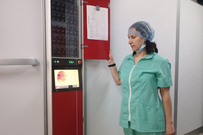 Архивные фото Павловской птицефабрики показали нижегородцам - фото 3