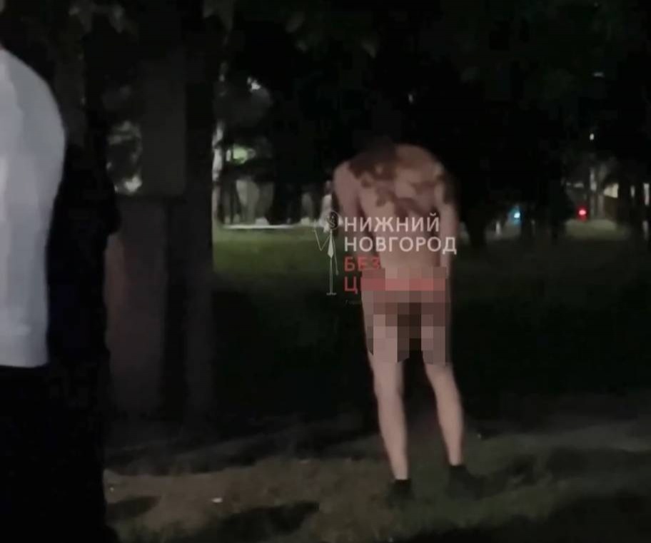 Гуляющий голышом мужчина напугал нижегородцев в парке Пушкина - фото 1