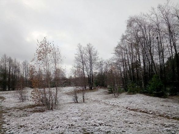 Нижегородцы делятся фотографиями первого снега и лепят снеговиков - фото 7