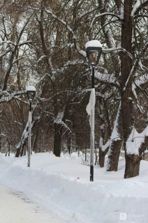 Сроки благоустройства нижегородского парка Кулибина в очередной раз сорваны - фото 8