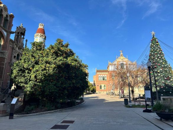 Морские гады, руины и потрясающий климат: вся правда о путешествии Барселона &mdash; Рим - фото 20