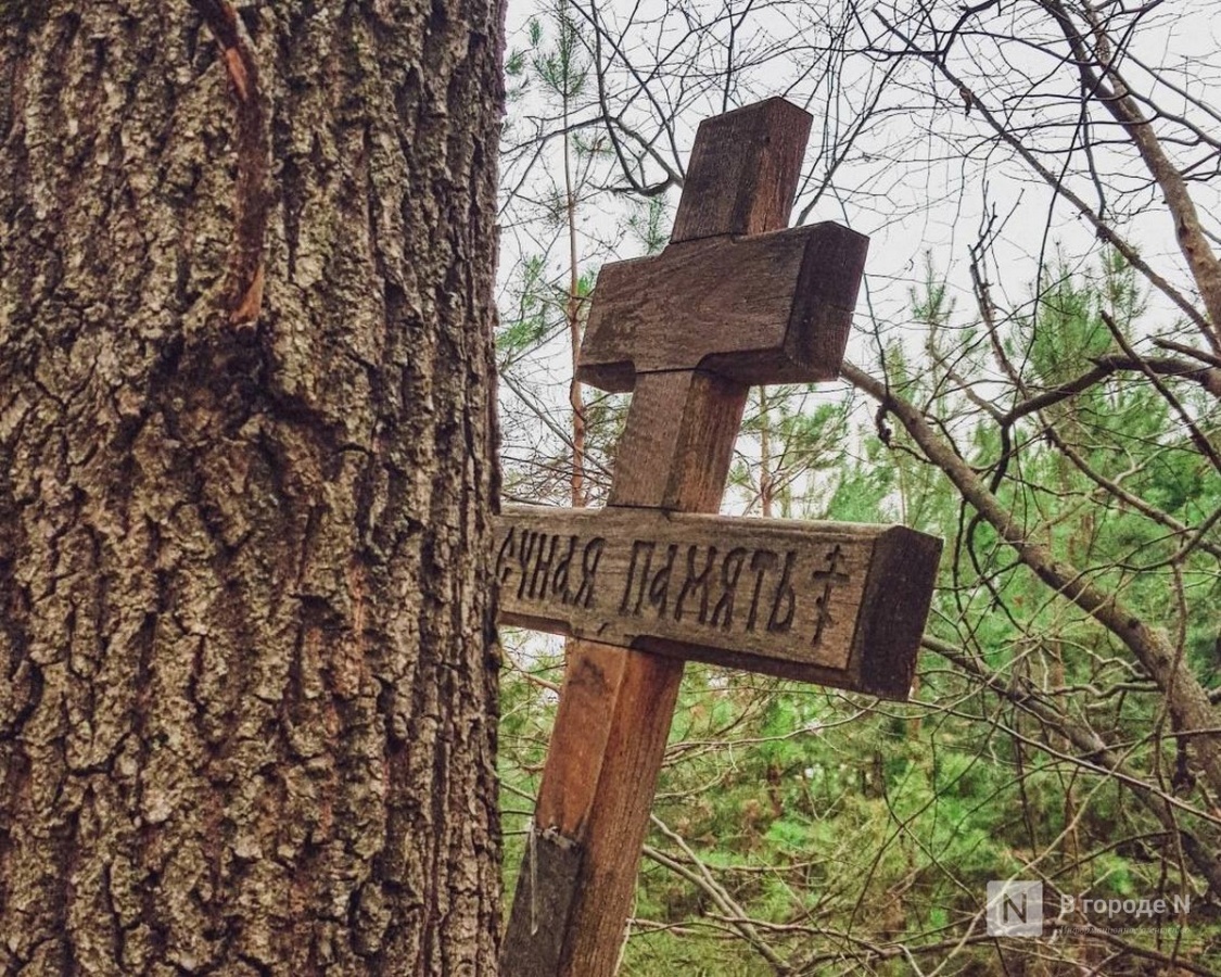 Похороны в Нижегородской области стали дешевле - фото 1