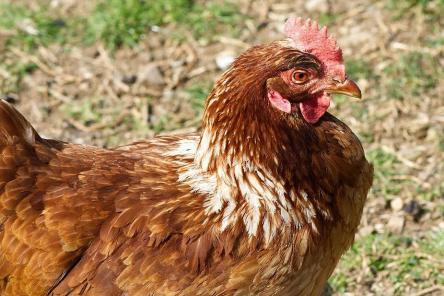 Русские имена, которые в Европе звучат странно