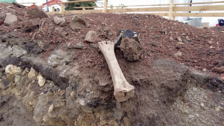 Кости и черепа обнаружили во время благоустройства центра Арзамаса - фото 2