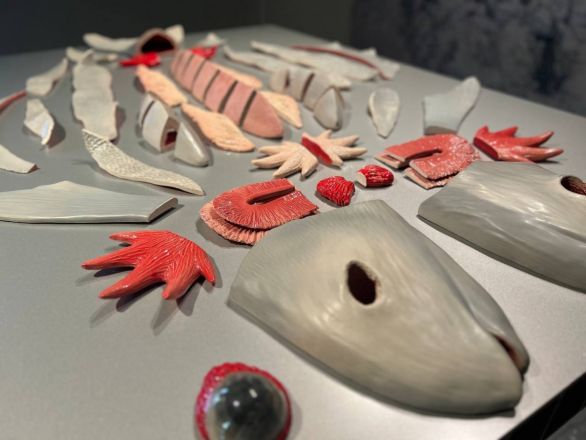 «Кожа Земли»: в Нижнем Новгороде проходит первая международная ЭкоБиеннале - фото 13