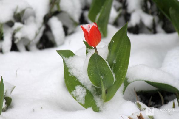 Апрельский апокалипсис в Нижнем Новгороде: фоторепортаж с улиц, заваленных снегом