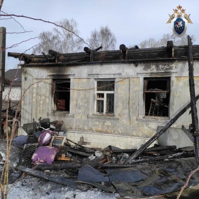 СК проводит проверку из-за гибели мужчины на пожаре в Нижнем Новгороде - фото 1