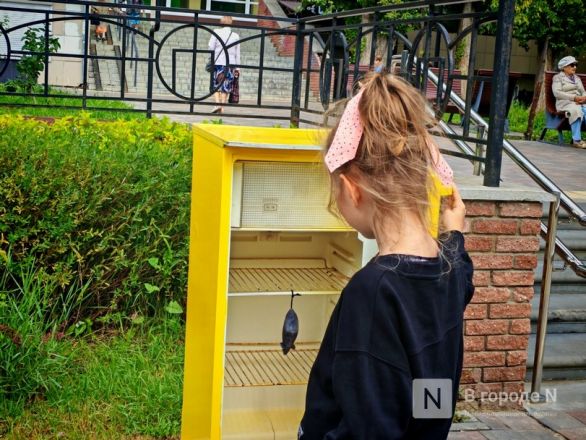 Необычную акцию за повышение МРОТ до 50 000 рублей провели в Нижнем Новгороде - фото 4