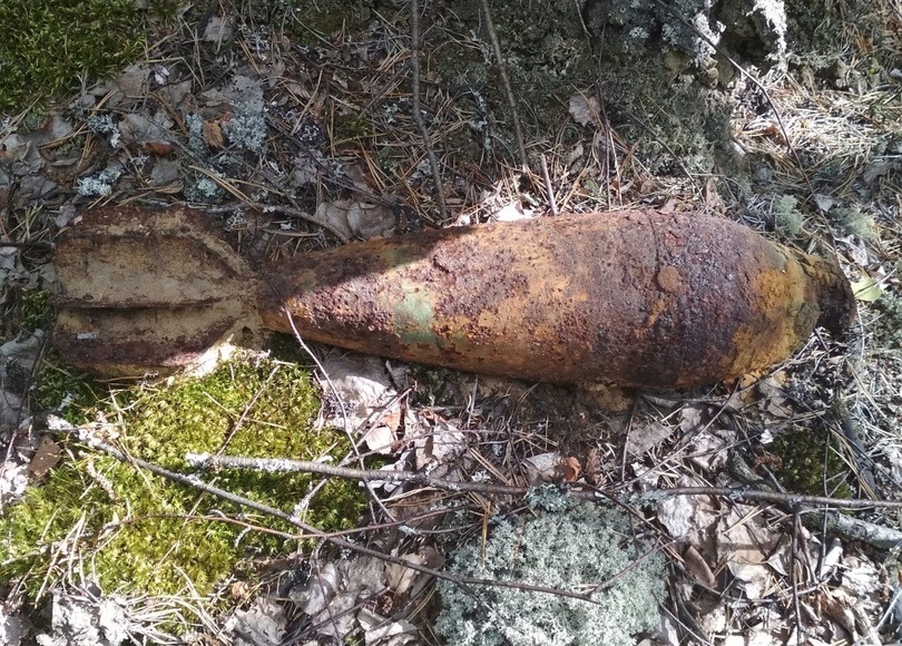 Дзержинские грибники наткнулись на снаряд от миномета - фото 1