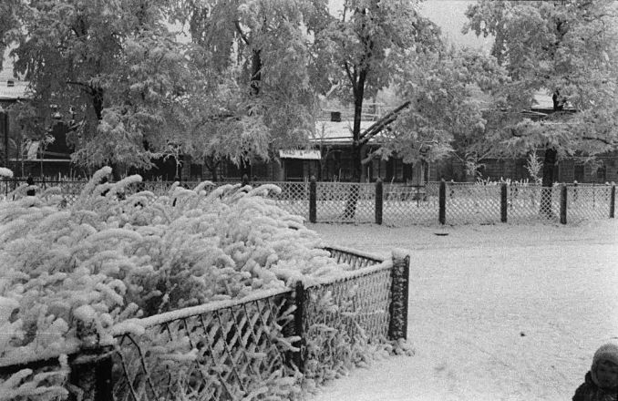 Зима в Нижнем Новгороде / pastvu.com От XIX века до советских времен: как раньше отмечали Новый год в Нижнем Новгороде — фото - фото 35