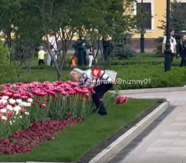 Нижегородцы массово жалуются на цветочных вандалов - фото 3