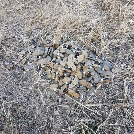 Более 200 противопехотных мин обнаружено в лесу у Торфосклада - фото 5