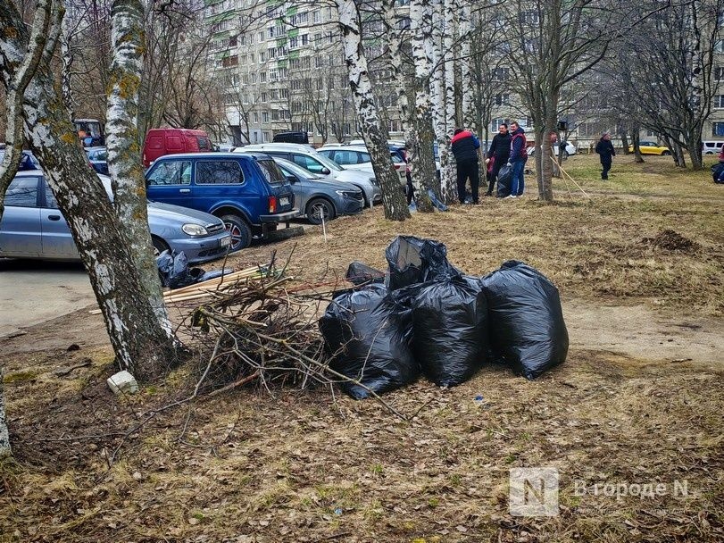 Региональный субботник перенесли из-за непогоды в Нижегородской области - фото 1