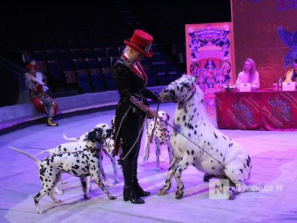 Шоу &laquo;Бурлеск&raquo; будет идти в Нижегородском цирке до конца апреля - фото 2