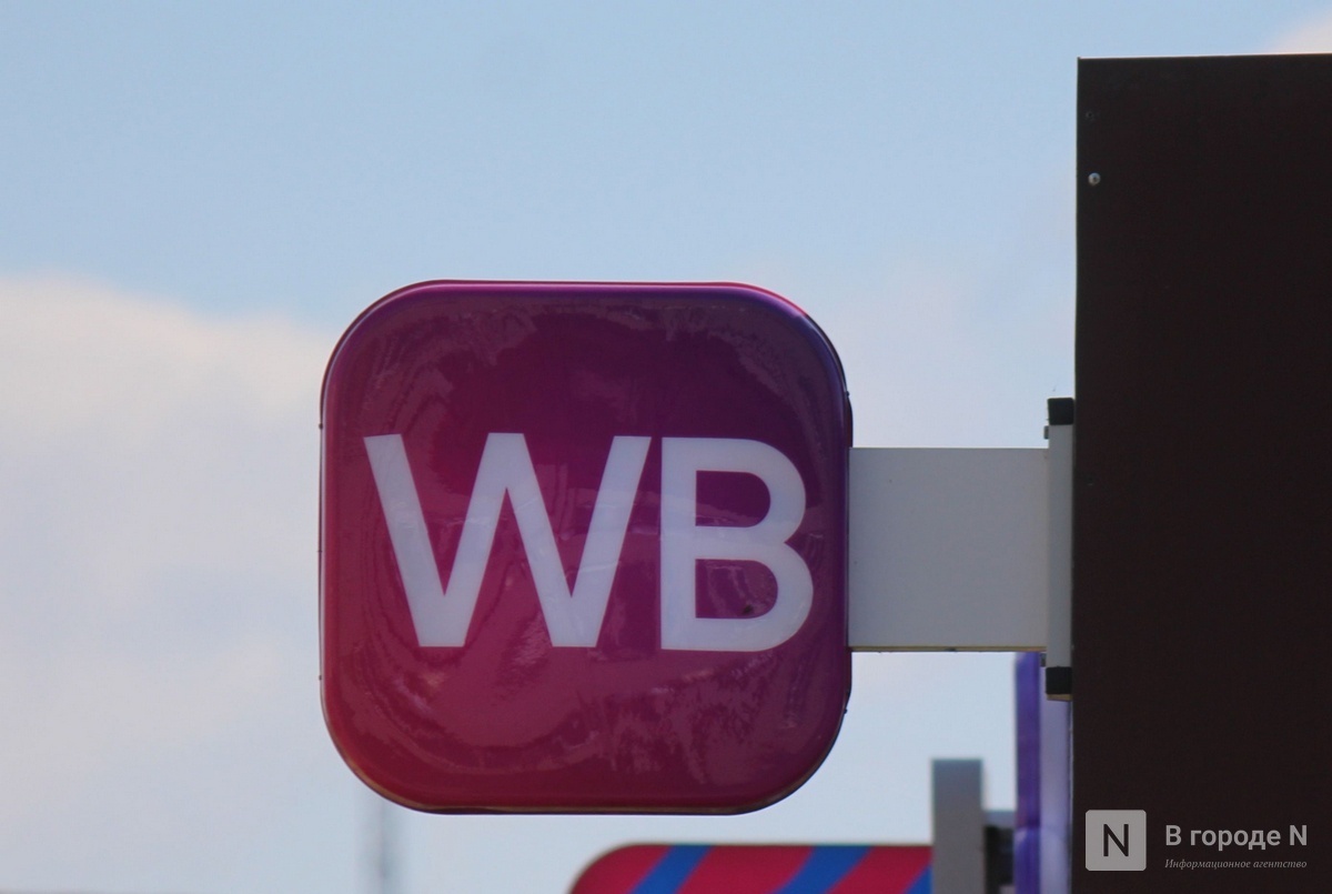 Суд отказался тормозить строительство огромного склада WB в Новинках - фото 1