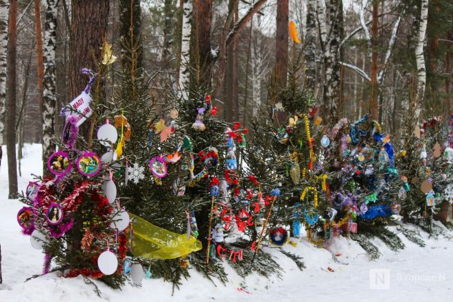 Пингвины, карусель и лунный каток: карта самых атмосферных новогодних локаций Нижнего Новгорода - фото 141