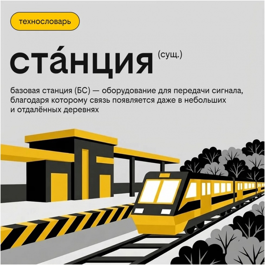 Соты, сайты и пакеты: как знакомые слова помогают улучшать качество связи - фото 3