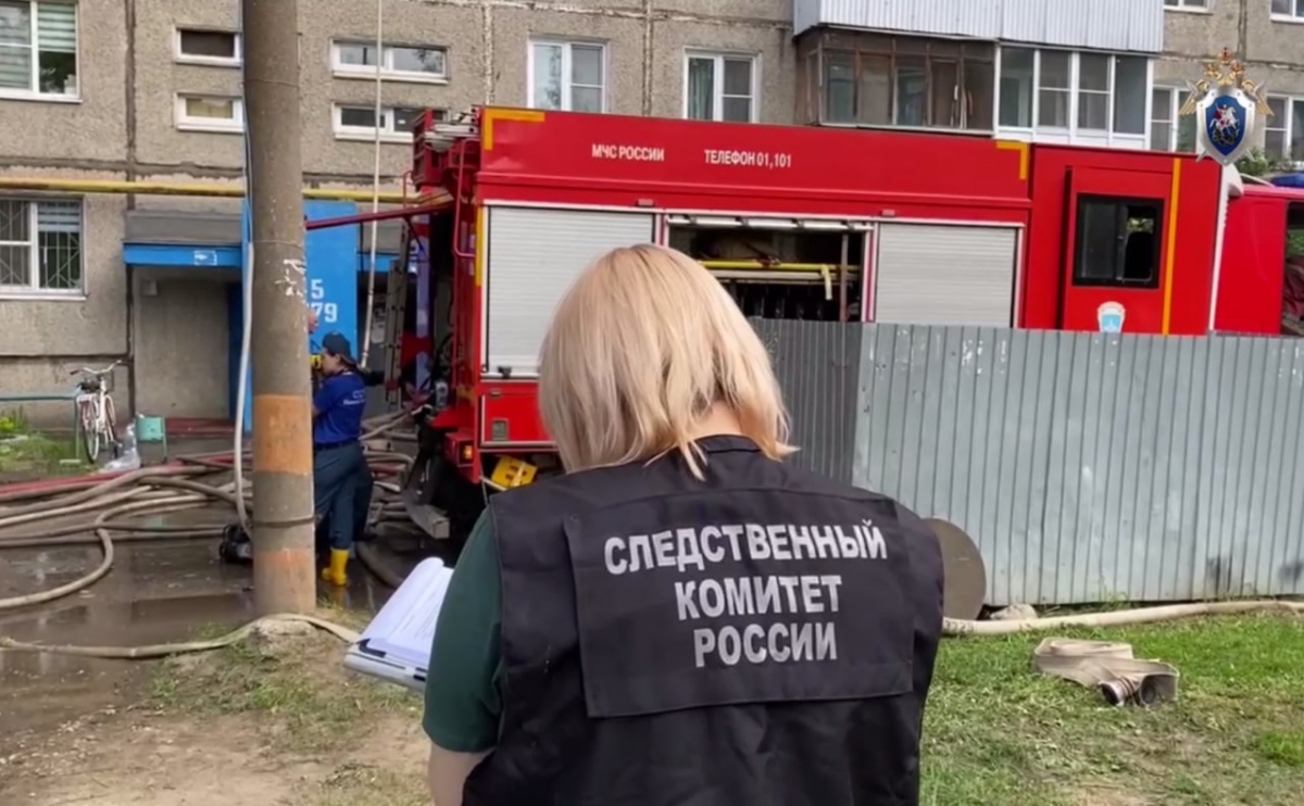 Уголовное дело возбудили из-за гибели пенсионерки в Нижнем Новгороде - фото 1