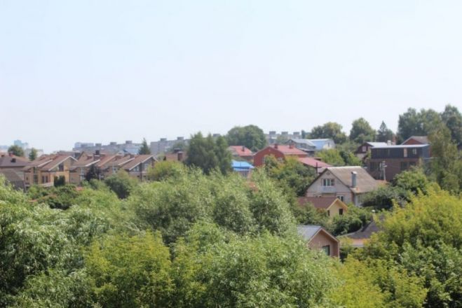 Опубликованы фото оврагов заброшенных участков СНТ в Нижнем Новгороде - фото 5